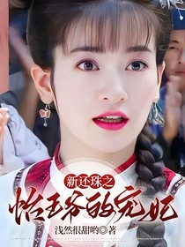 新还珠之怡王爷的宠妃