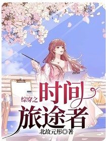 综穿之时间旅途者