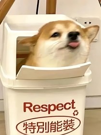 信息素失控报告