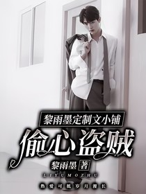 黎雨墨定制文小铺：偷心盗贼