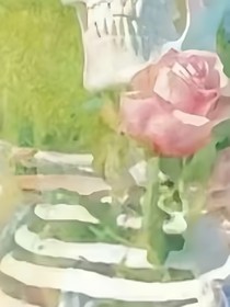 查九：今夜无人坠入情网