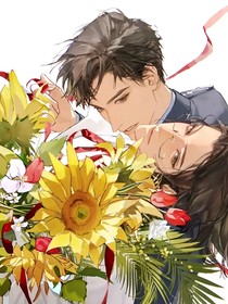 费先生与骆探长