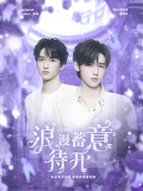 TNT：浪漫蓄意待开