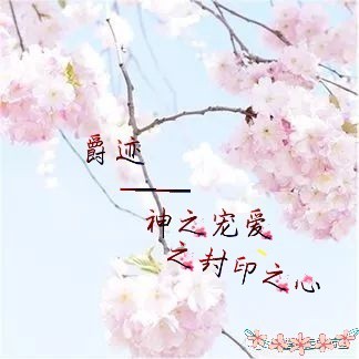 爵迹-神之宠爱之封印之心