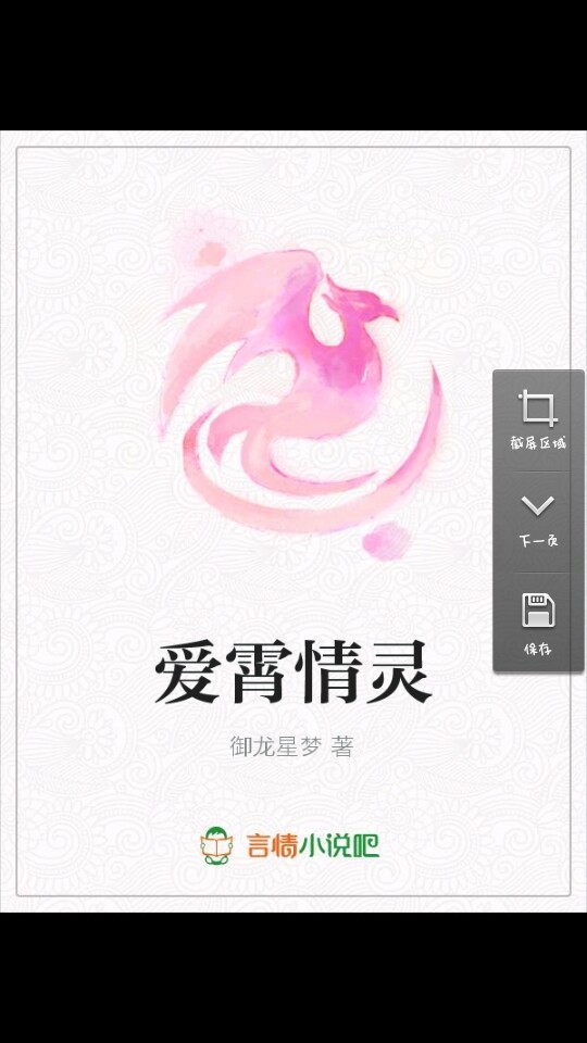 爱霄情灵：公主殿下