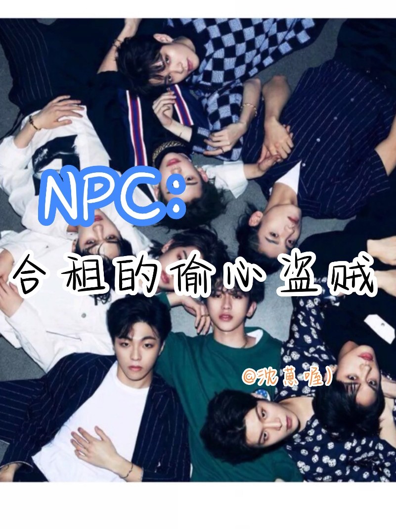 NPC：合租的偷心盗贼