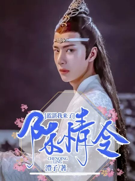 陈情令:蓝湛我来了