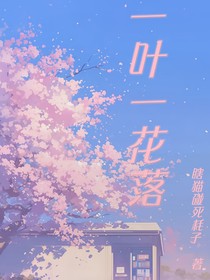 一叶一花落