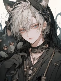 我的猫妖骑士