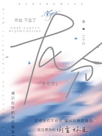 十七分