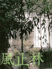 风止林