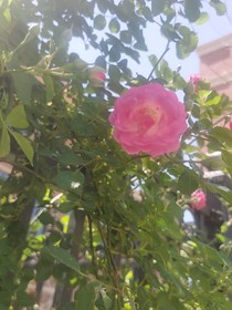 墨痕里的成长涟漪：一部书写岁月的生活润滑之书