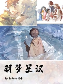 羽梦星汉