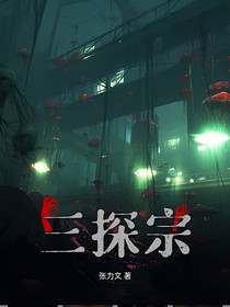 三探宗