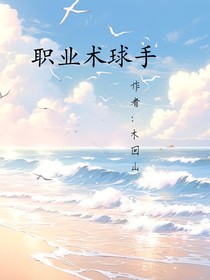 职业术球手