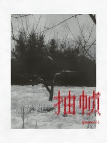 抽帧