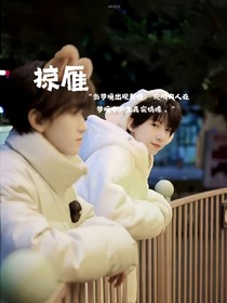 掠雁