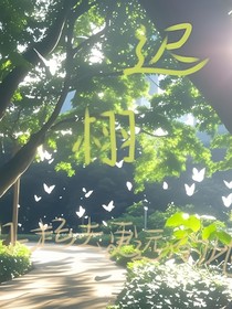 迟栩