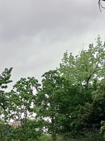 出入江湖
