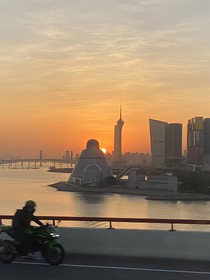 我在书中世界里彻底摆烂了