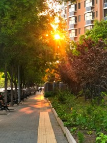 老师，我们家作者又不想更新了
