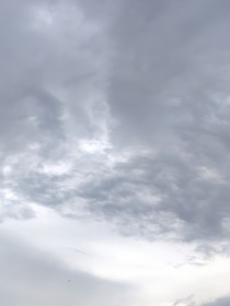 听心声闯荡江湖之向往自由