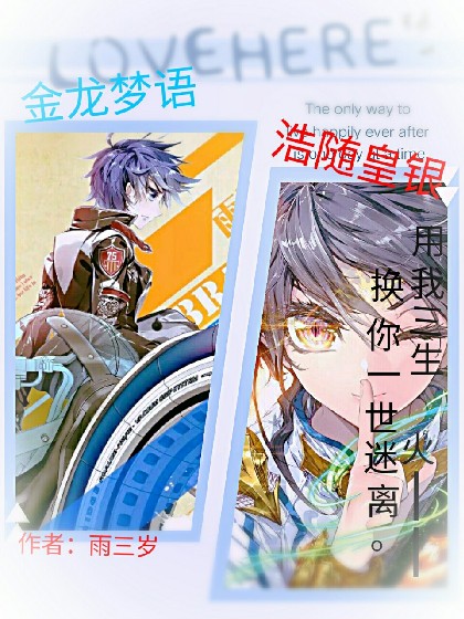 金龙梦语——浩随皇银
