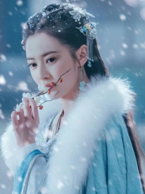 陈情令：寒梅傲雪弘挽秋