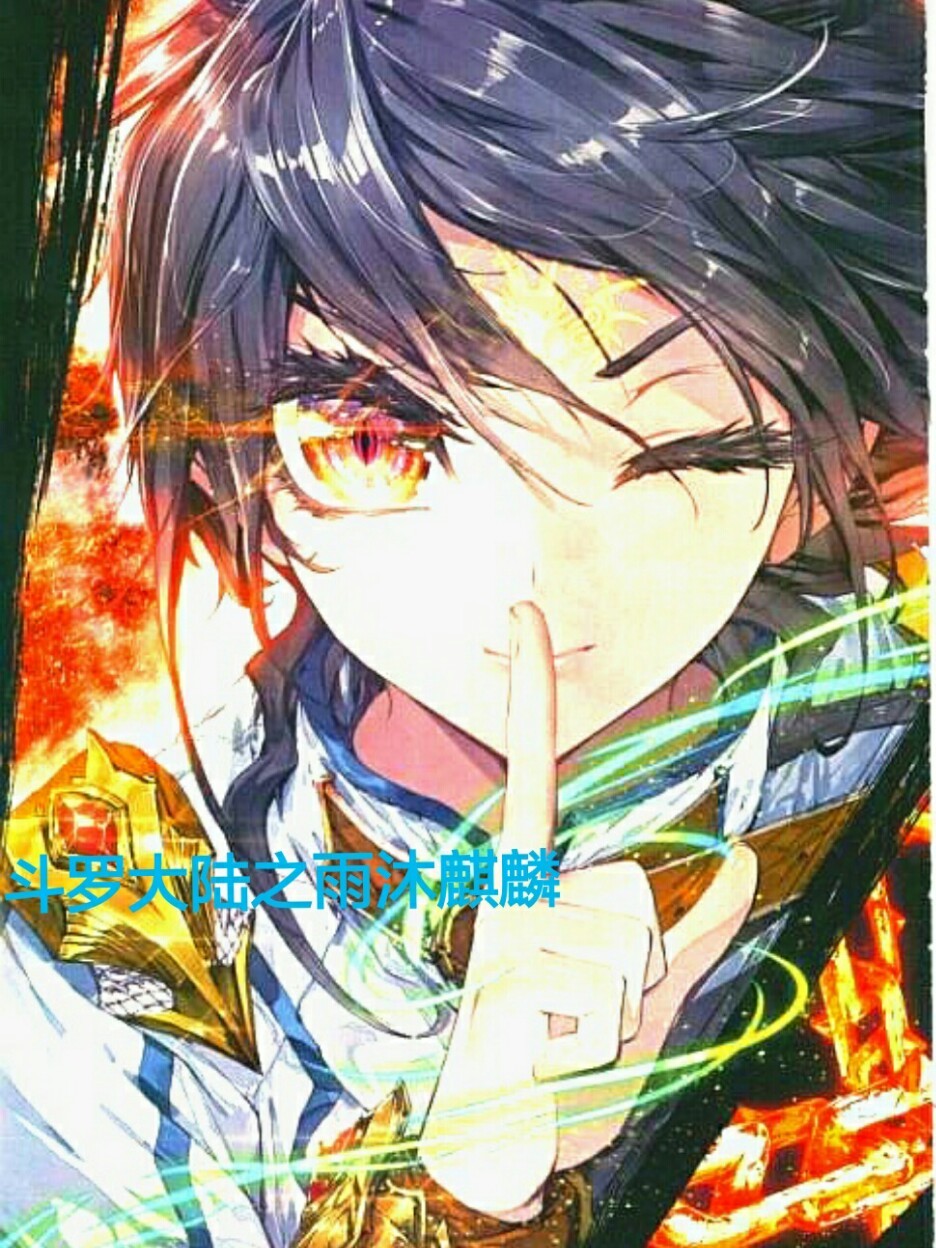 斗罗大陆之雨沐麒麟