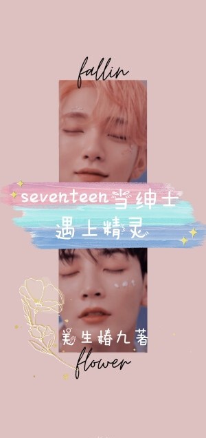 seventeen当绅士遇上精灵