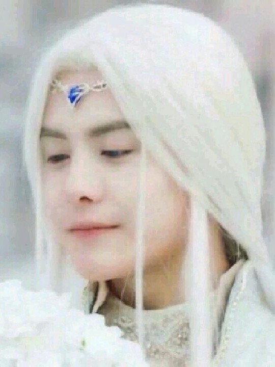 （幻城）彼岸花葬